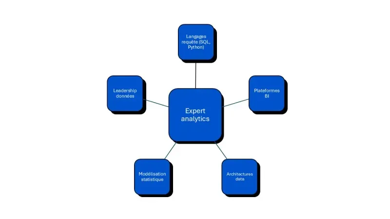 expert BI connaissances